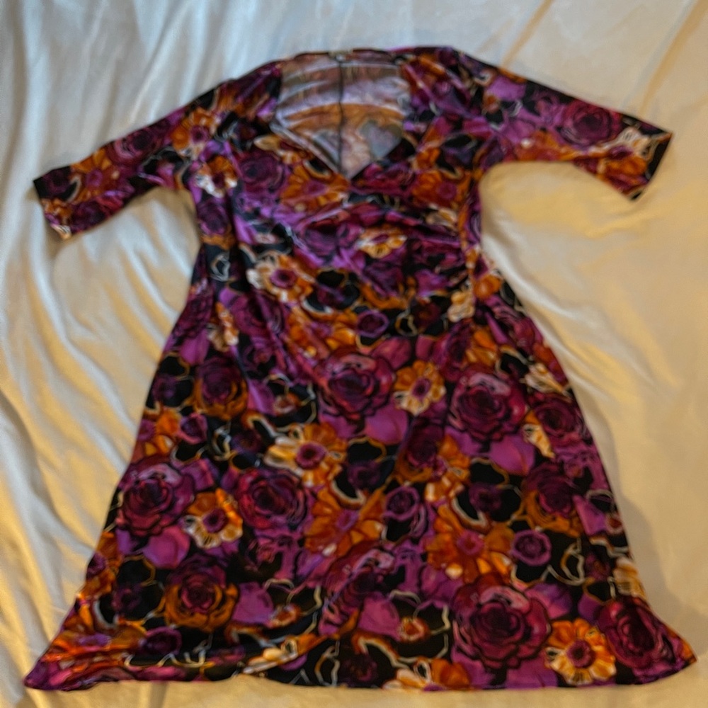 Kiyonna Plus Size 3x Pink Floral Dress